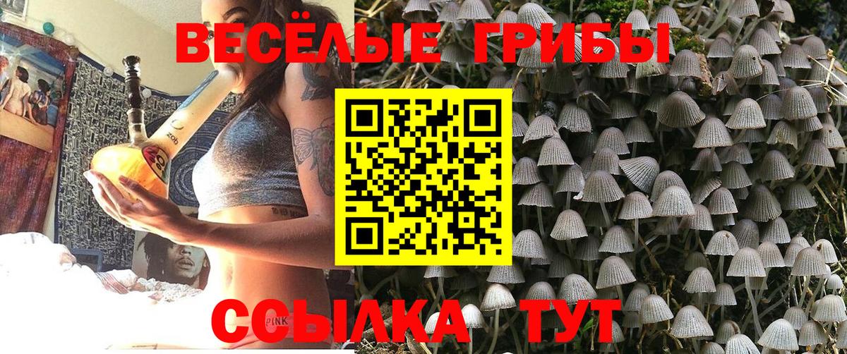 Галлюциногенные грибы Psilocybine cubensis  Вход с VPN  наркотики  Чебоксары 