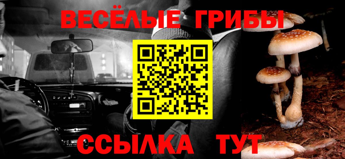 Псилоцибиновые грибы Psilocybine cubensis Чебоксары